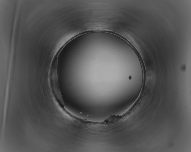X0000091511293200708241621