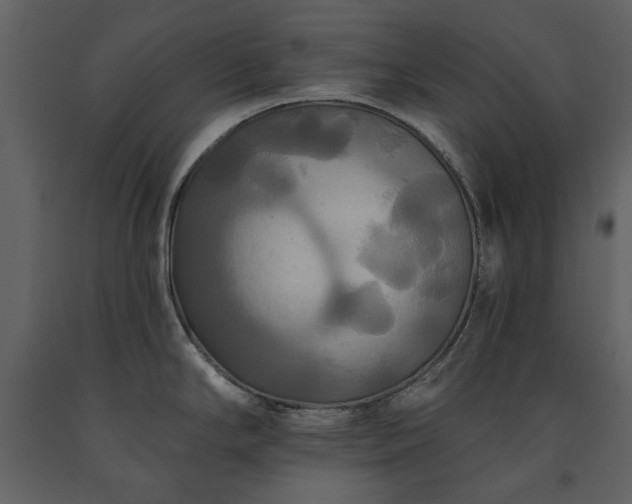 X0000091511294200708241621