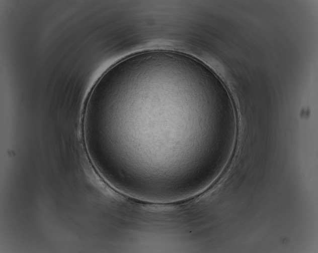 X0000091511296200708241621