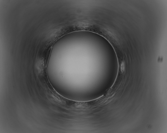 X0000091511299200708241621
