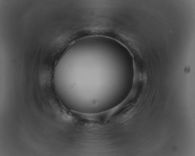 X0000091511300200708241621