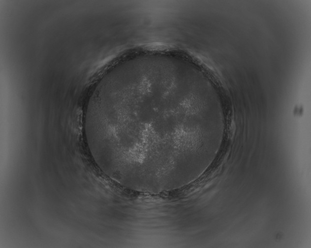 X0000091511301200708241621