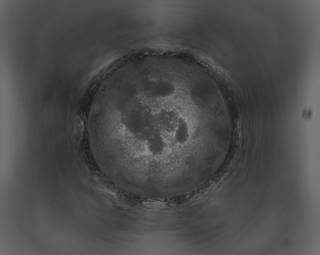 X0000091511302200708241621