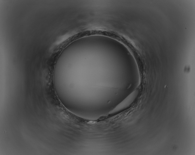 X0000091511303200708241621
