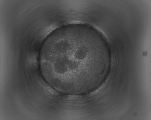 X0000091511305200708241621