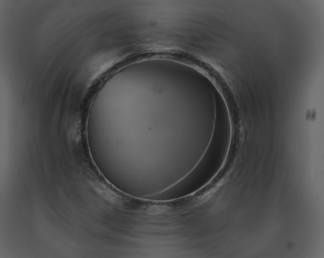 X0000091511306200708241621