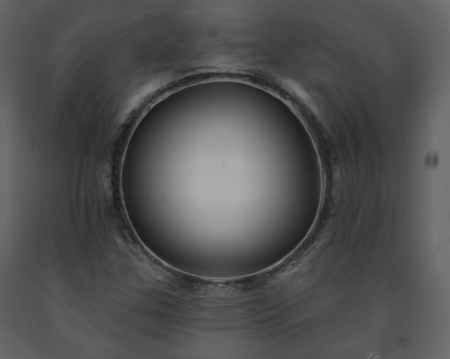 X0000091511307200708241621