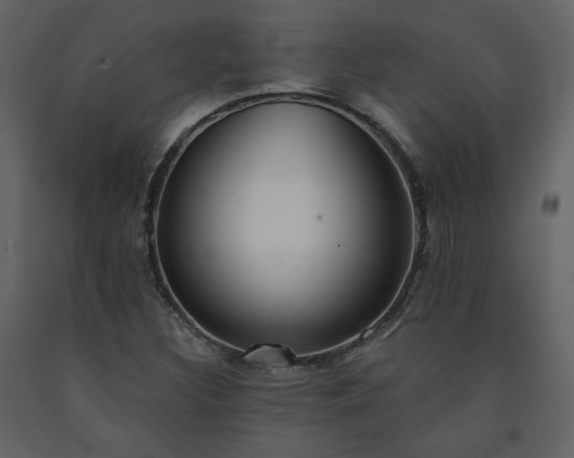 X0000091511308200708241621