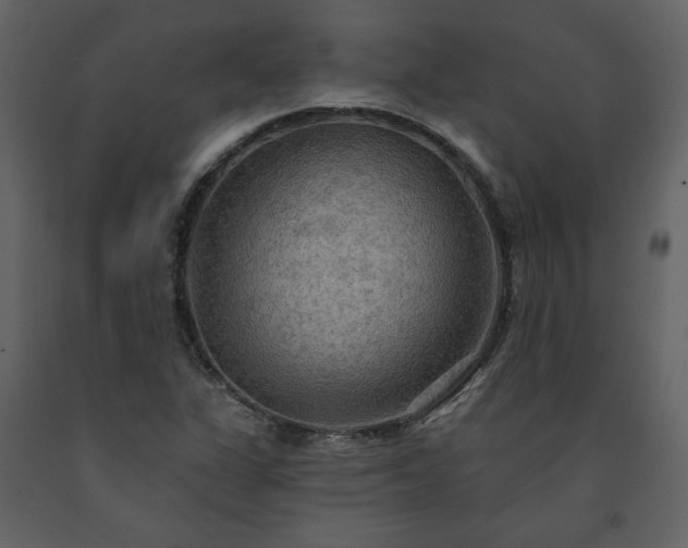 X0000091511311200708241621