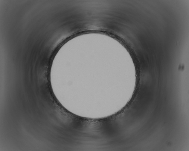 X0000091511314200708241621