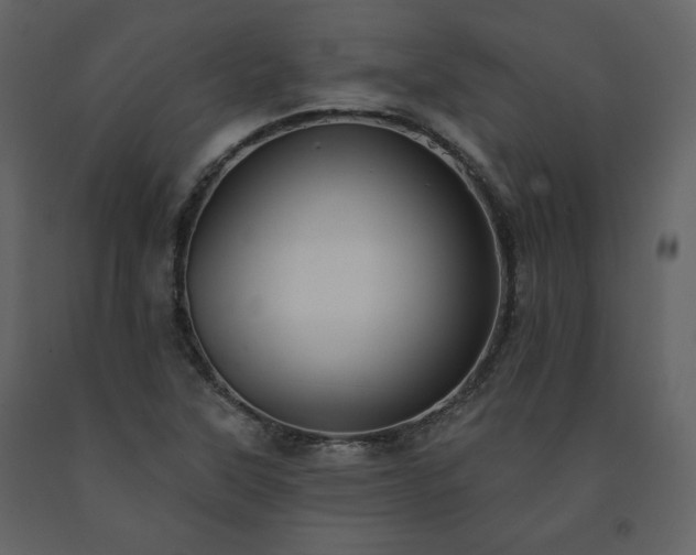 X0000091511315200708241621