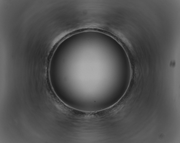 X0000091511316200708241621