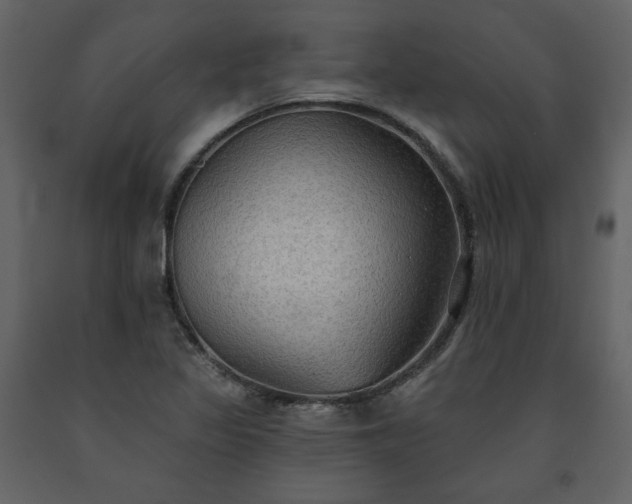 X0000091511317200708241621
