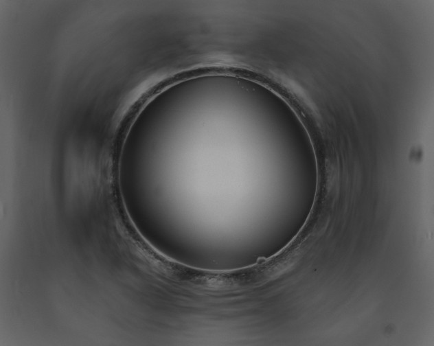 X0000091511318200708241621