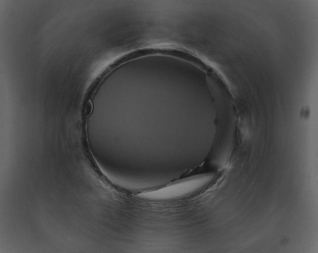 X0000091511319200708241621