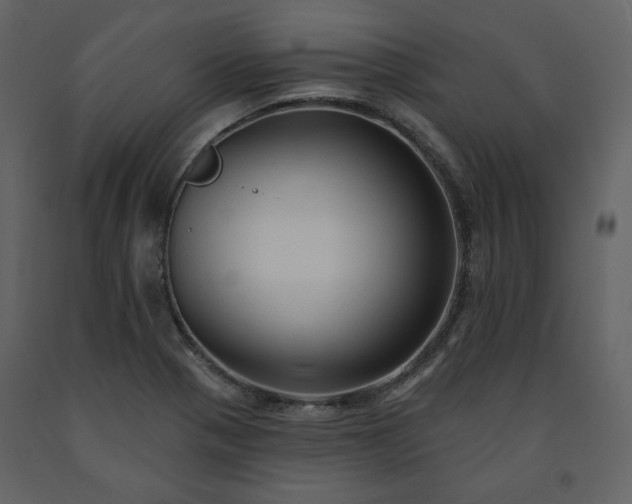 X0000091511321200708241621