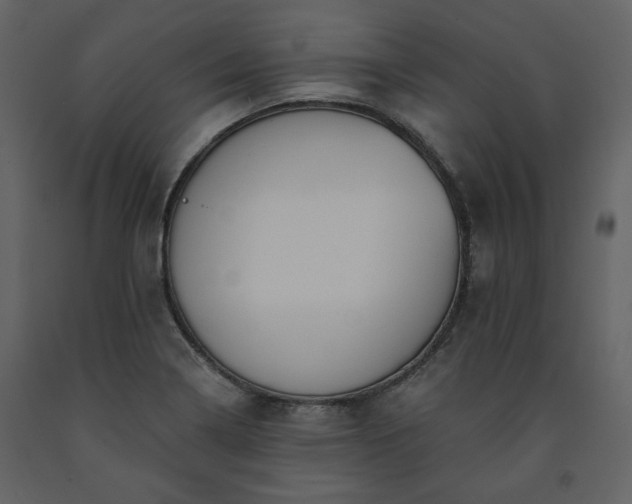 X0000091511322200708241621