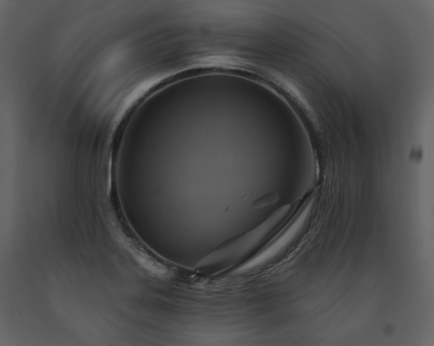 X0000091511323200708241621