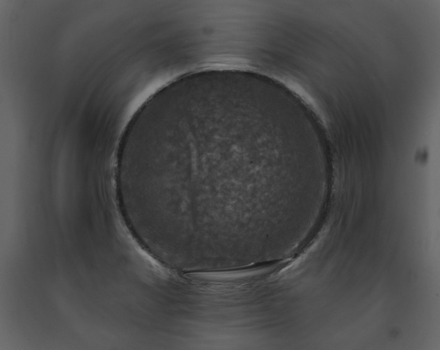X0000091511325200708241621