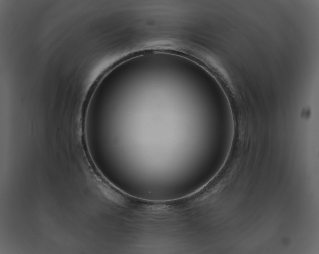 X0000091511328200708241621