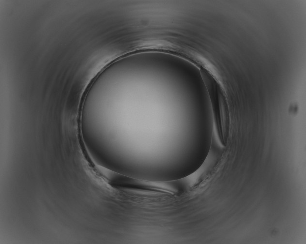 X0000091511330200708241621