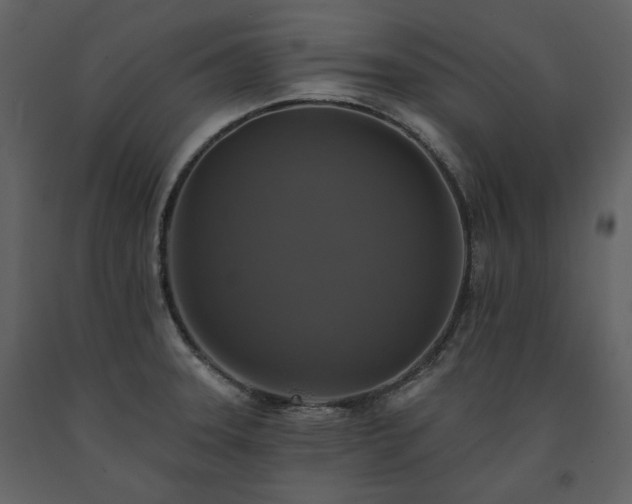 X0000091511331200708241621