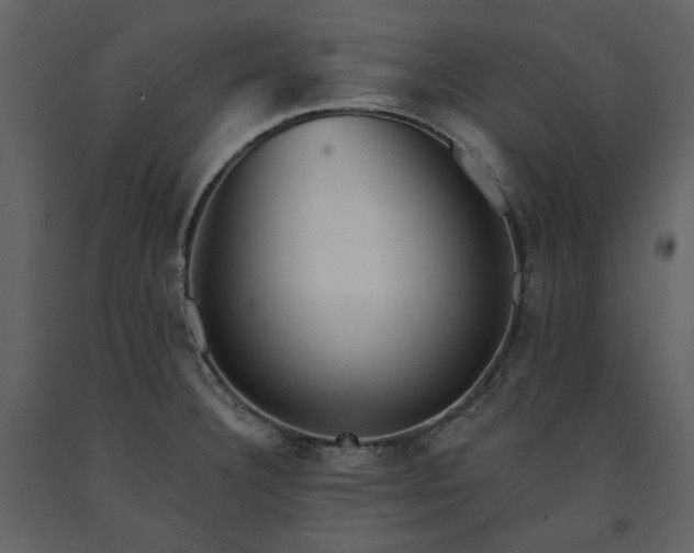 X0000091511332200708241621