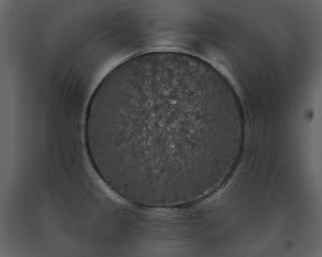 X0000091511333200708241621