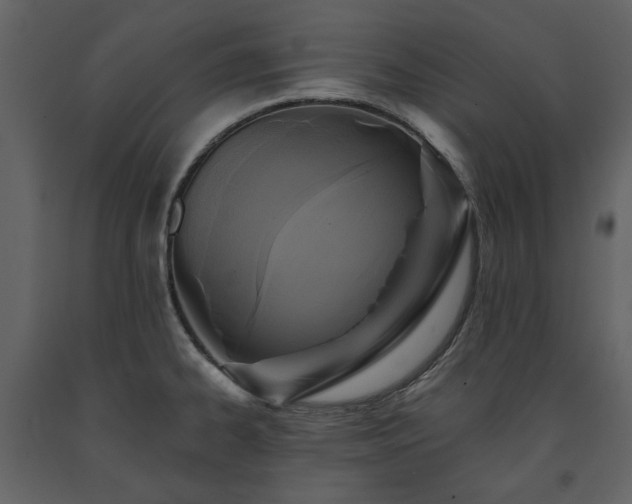 X0000091511334200708241621