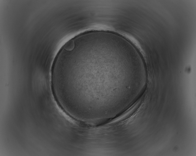 X0000091511335200708241621