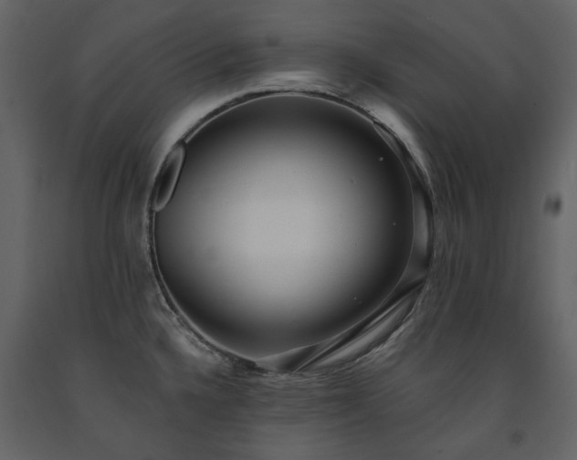 X0000091511336200708241621