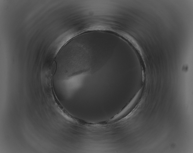 X0000091511337200708241621