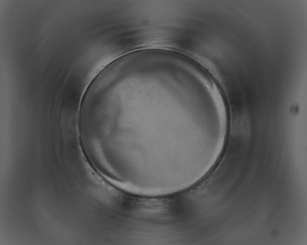 X0000091511338200708241621