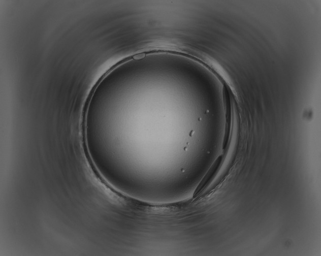 X0000091511339200708241621