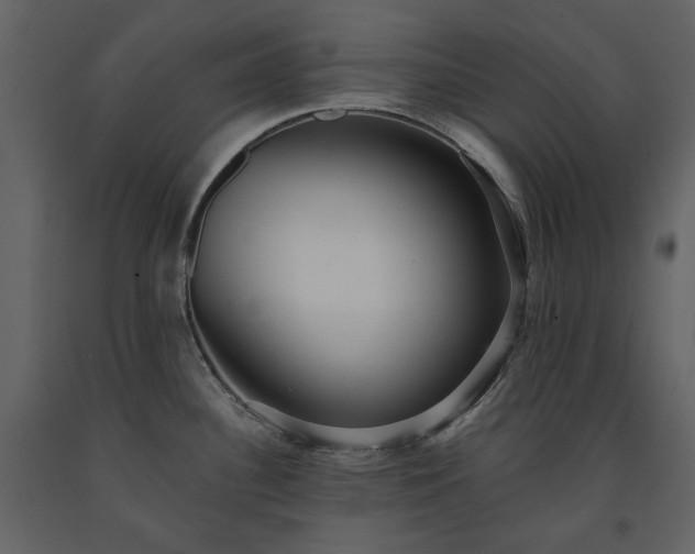 X0000091511340200708241621