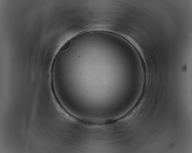 X0000091511341200708241621