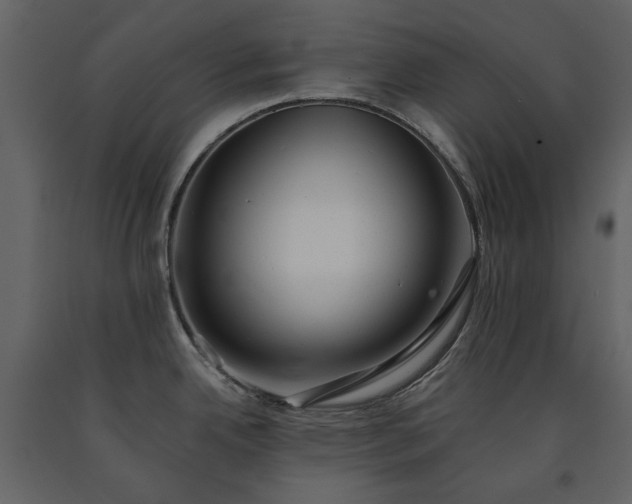 X0000091511342200708241621