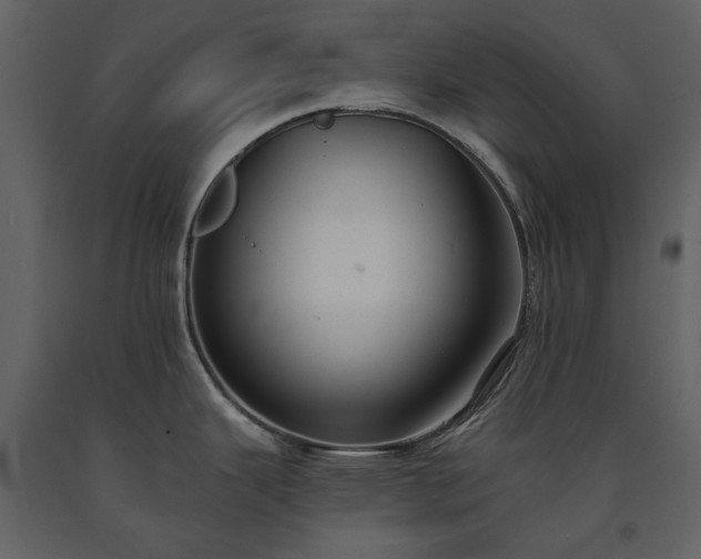 X0000091511343200708241621