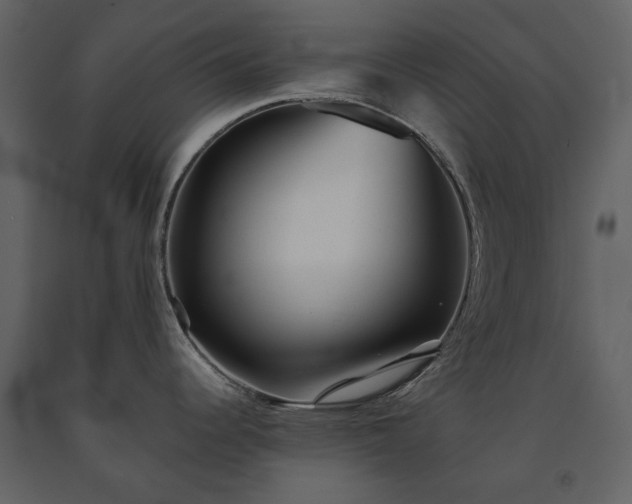 X0000091511344200708241621