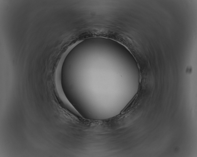 X0000091511345200708241621