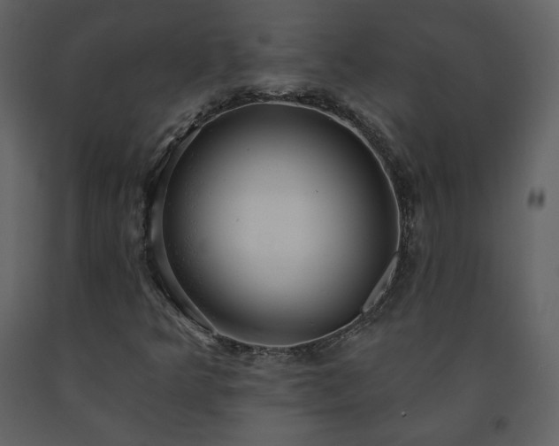 X0000091511349200708241621