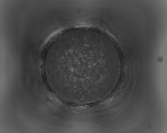X0000091511351200708241621