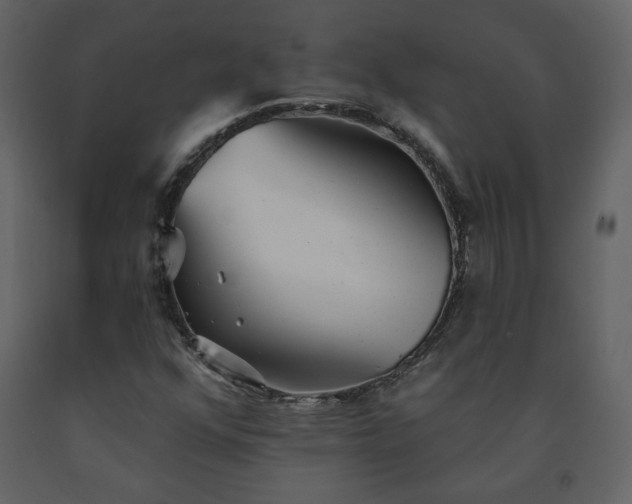 X0000091511352200708241621