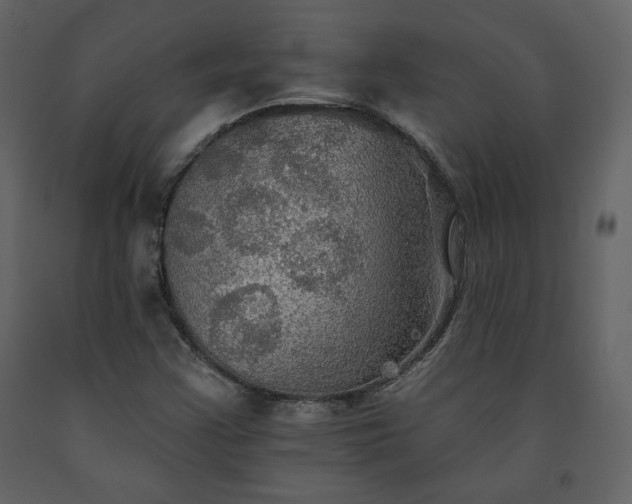 X0000091511355200708241621