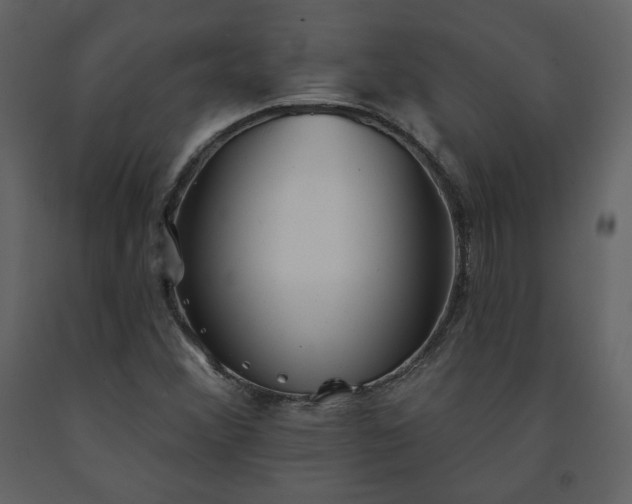 X0000091511356200708241621