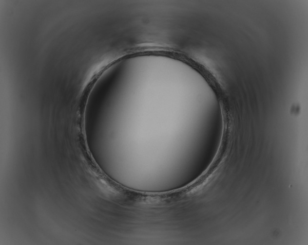 X0000091511357200708241621