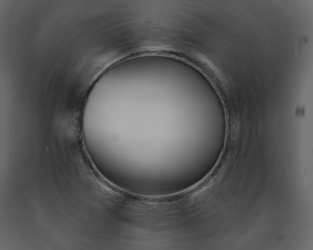 X0000091511361200708241620