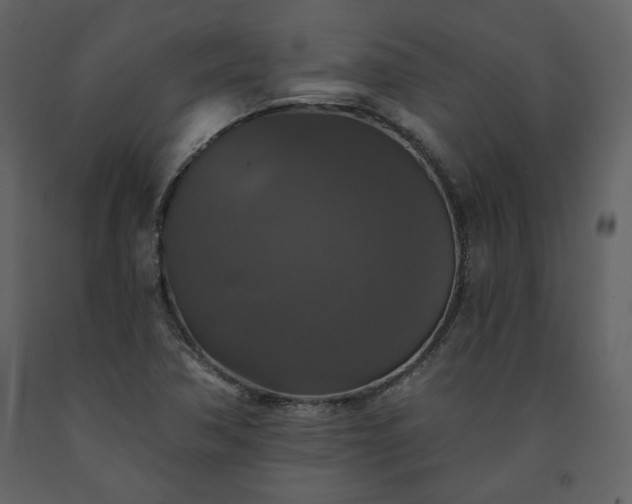 X0000091511362200708241620