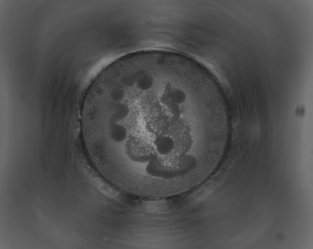 X0000091511363200708241620