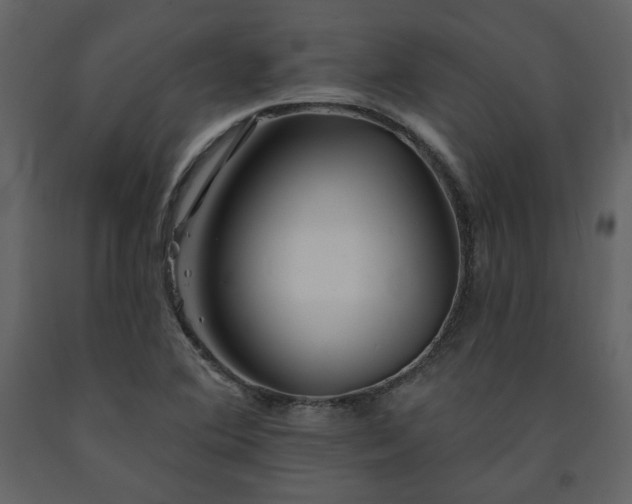 X0000091511364200708241620